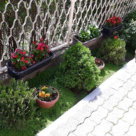 Villa Domina Γευγελή Εξωτερικό φωτογραφία