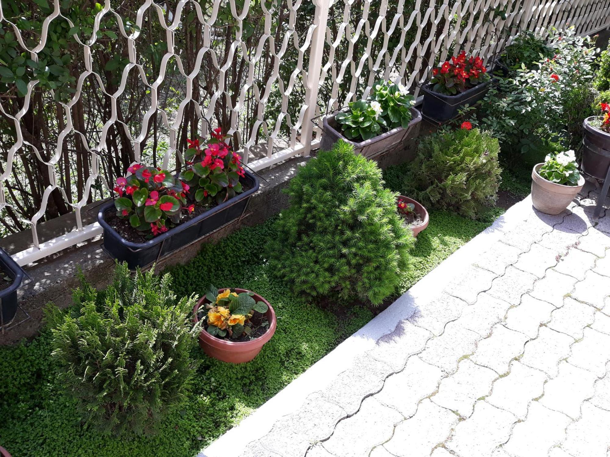 Villa Domina Γευγελή Εξωτερικό φωτογραφία